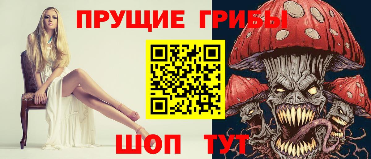 Псилоцибиновые грибы Cubensis Усинск